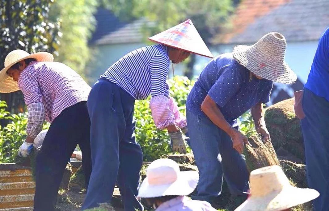 1531104793913478.jpg 2.jpg