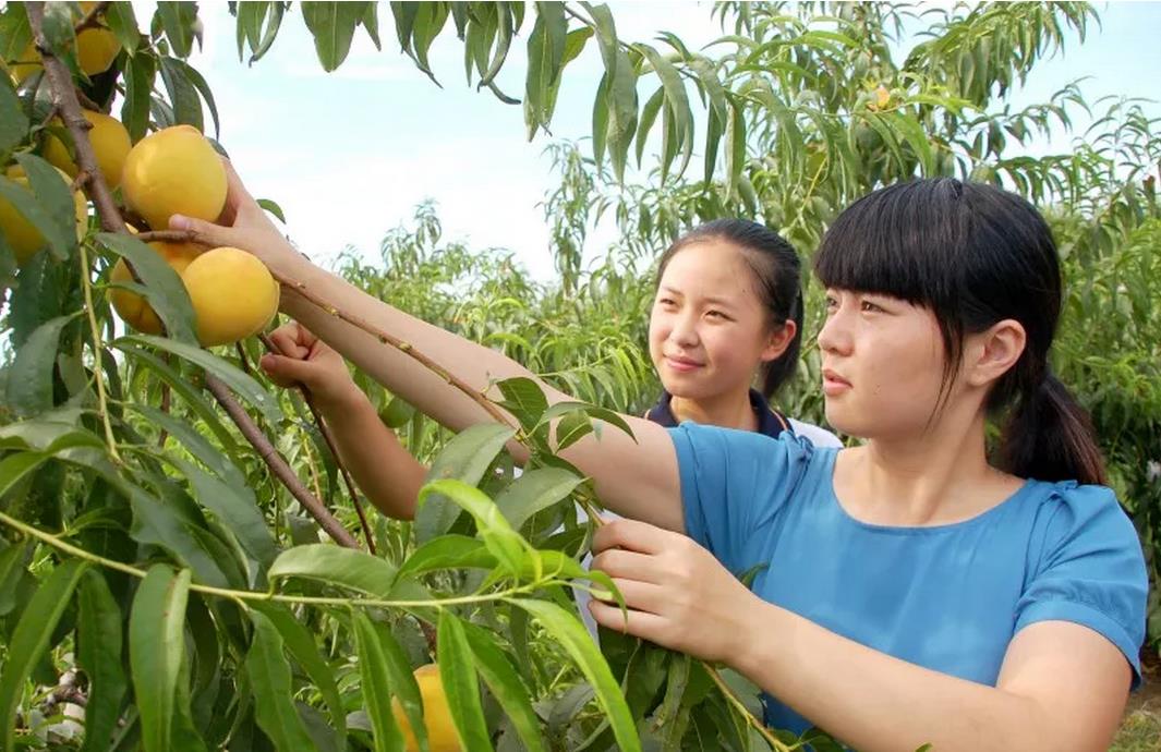 1531105163622282.jpg 7.jpg