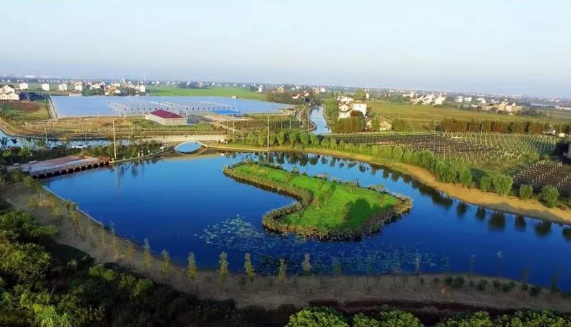 1531107751910939.jpg 2.jpg