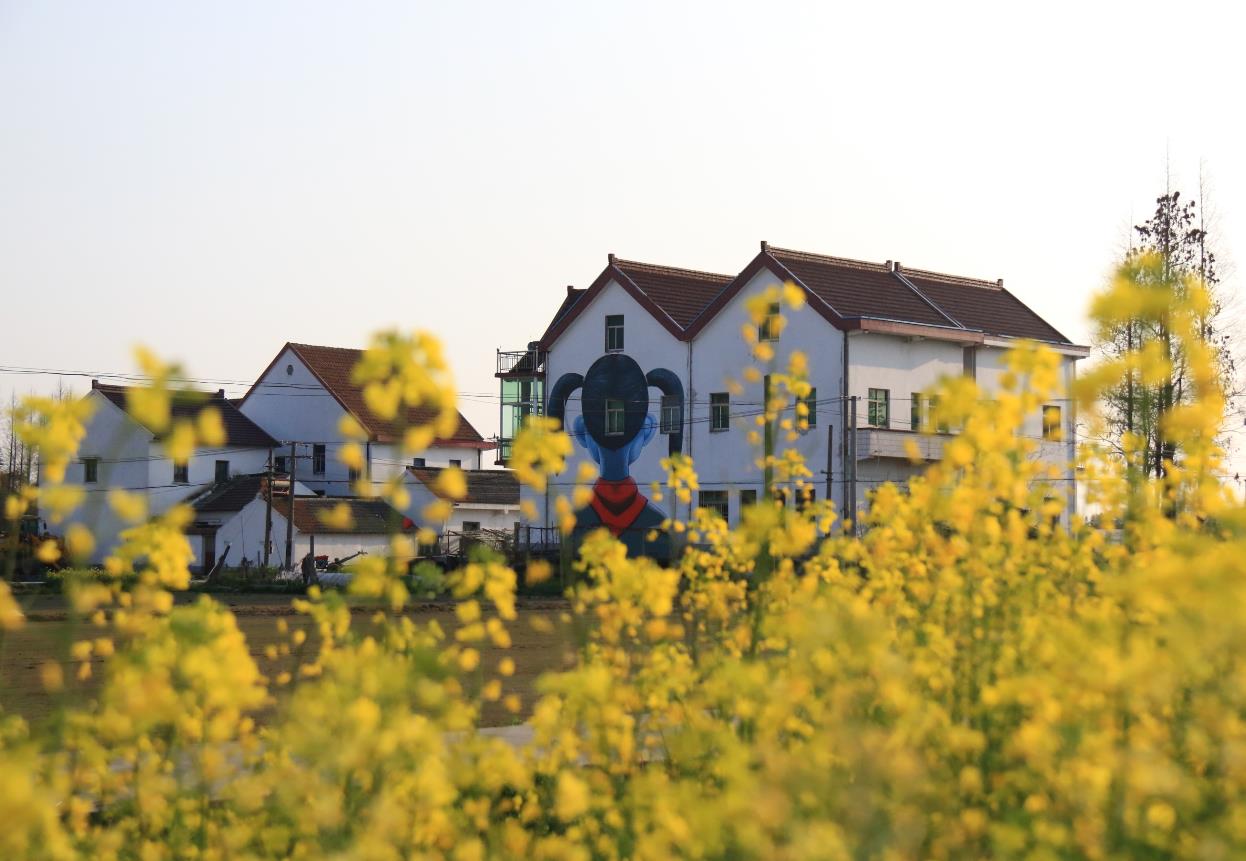 1531196369731454.jpg 7.jpg