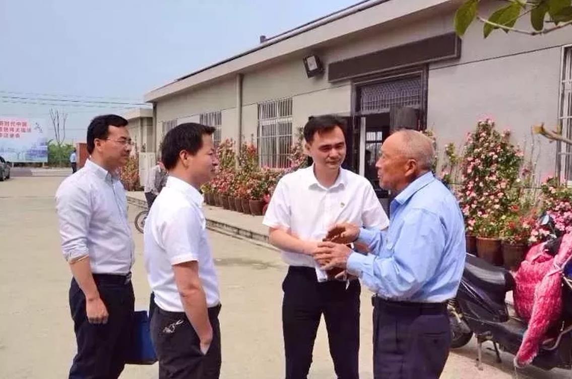 1531359941773625.jpg 3.jpg