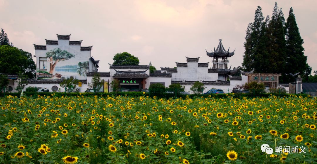 1551078477237320.jpeg 640-17.jpeg