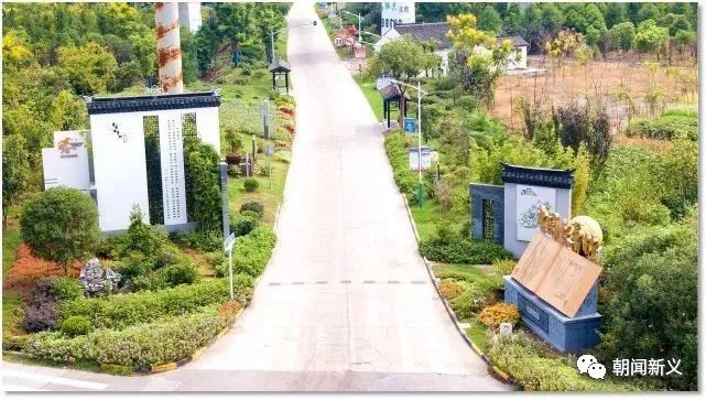 1557972689607006.jpg 蜂蜜浏览器_3.jpg