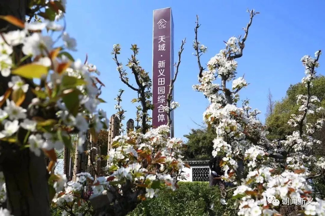 1557972700120183.jpg 蜂蜜浏览器_4.jpg