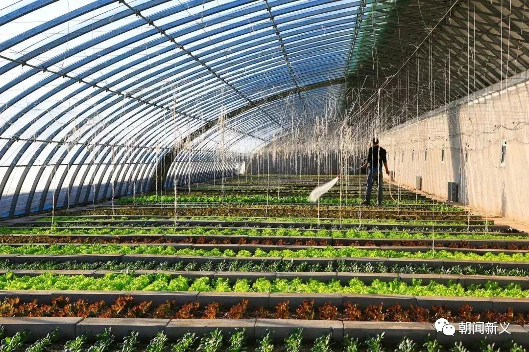 1557972765323599.jpg 蜂蜜浏览器_10.jpg