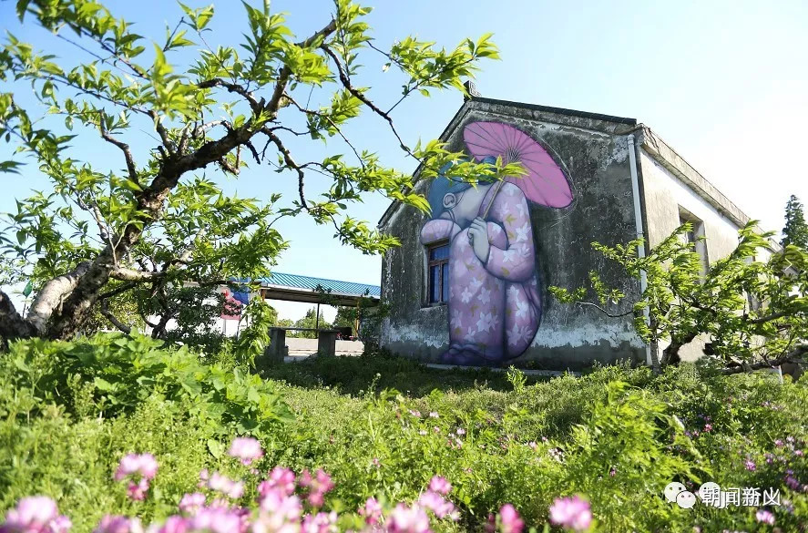 1557972795132460.jpg 蜂蜜浏览器_13.jpg