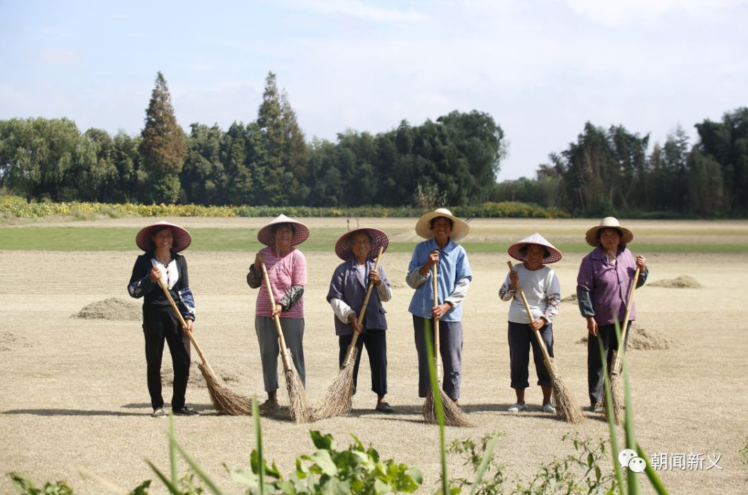 1557973079676975.jpg 蜂蜜浏览器_1.jpg