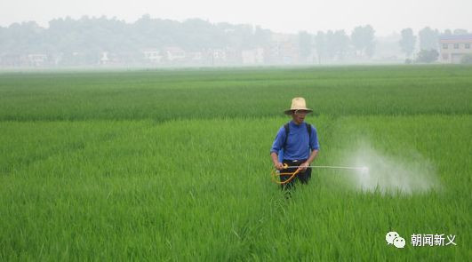 1557973246727237.jpg 蜂蜜浏览器_16.jpg