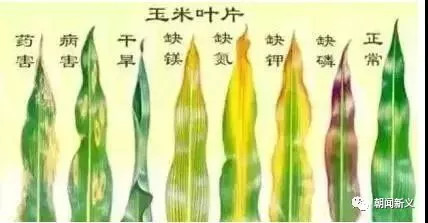 1557973253235685.jpg 蜂蜜浏览器_17.jpg