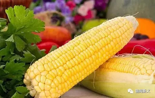 1557973267857150.jpg 蜂蜜浏览器_18.jpg