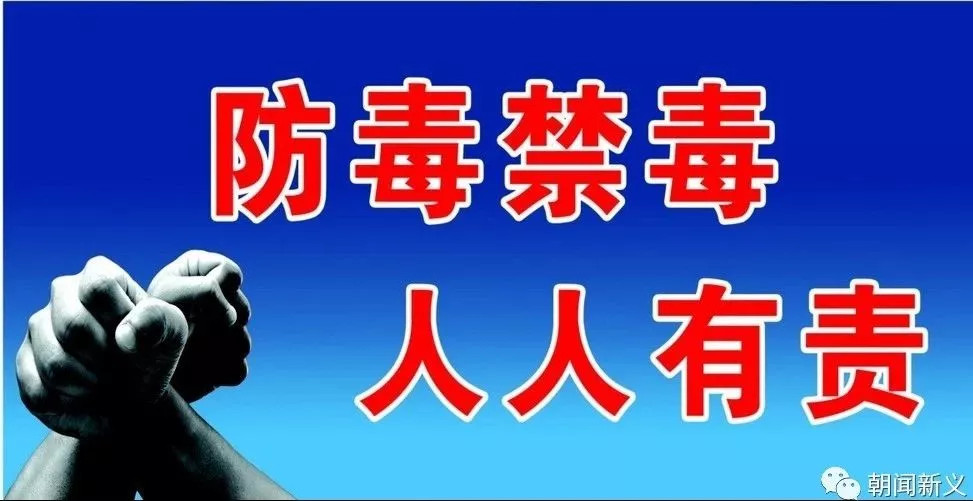 1558328964103697.jpg 蜂蜜浏览器_1.jpg