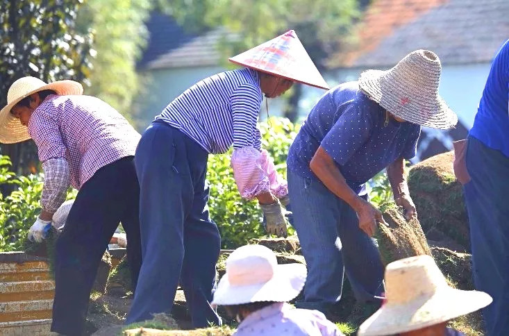 1558330568109468.jpg 蜂蜜浏览器_4.jpg