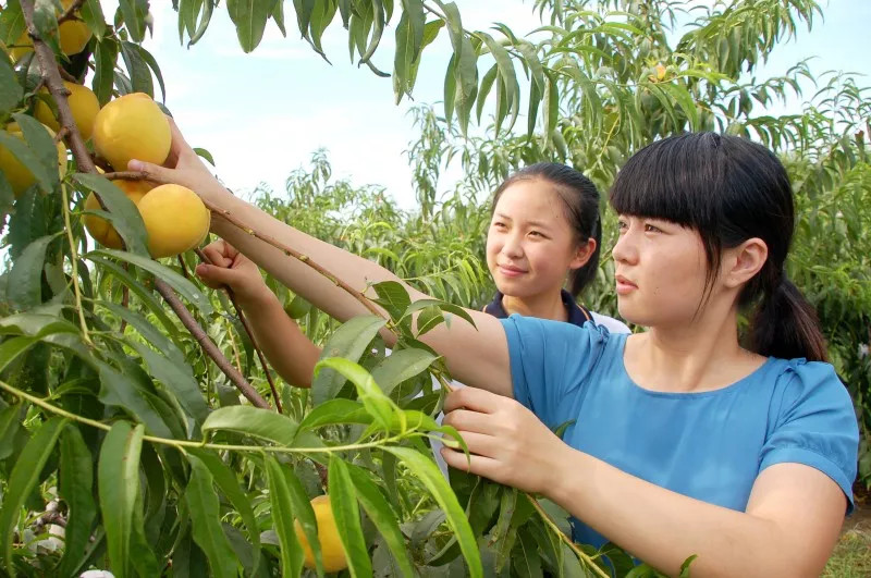 1558330617883012.jpg 蜂蜜浏览器_9.jpg