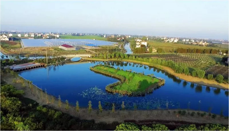 1558333404472015.jpg 蜂蜜浏览器_2.jpg