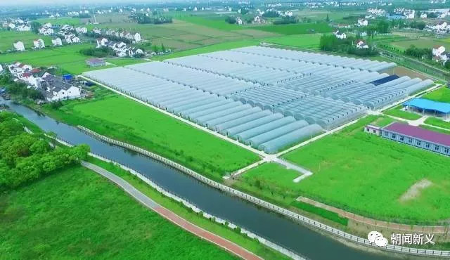 1558334314178969.jpg 蜂蜜浏览器_5.jpg