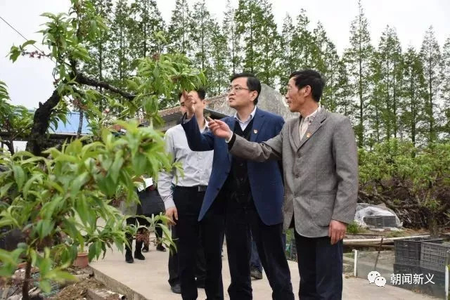 1558336671108543.jpg 蜂蜜浏览器_6.jpg