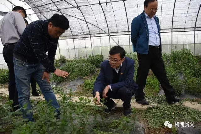 1558336678449897.jpg 蜂蜜浏览器_7.jpg