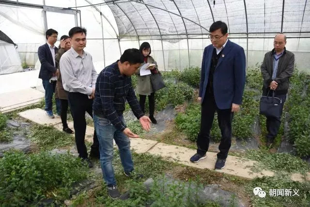 1558336686367362.jpg 蜂蜜浏览器_8.jpg