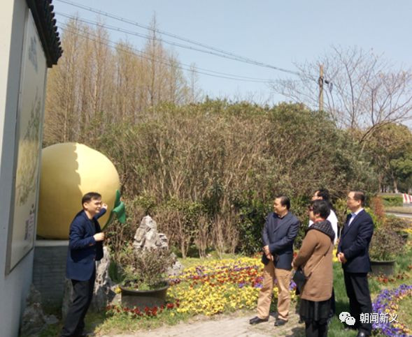 1558338298396322.jpg 蜂蜜浏览器_3.jpg