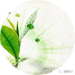 蜂蜜浏览器_1.jpg