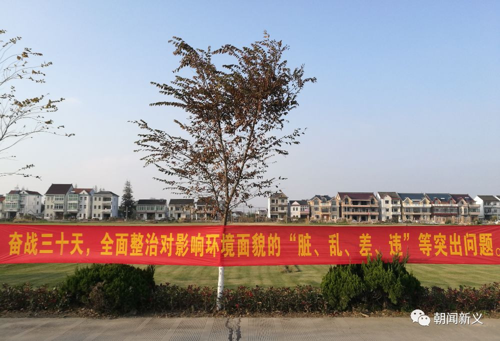 1558342073566642.jpg 蜂蜜浏览器_1.jpg