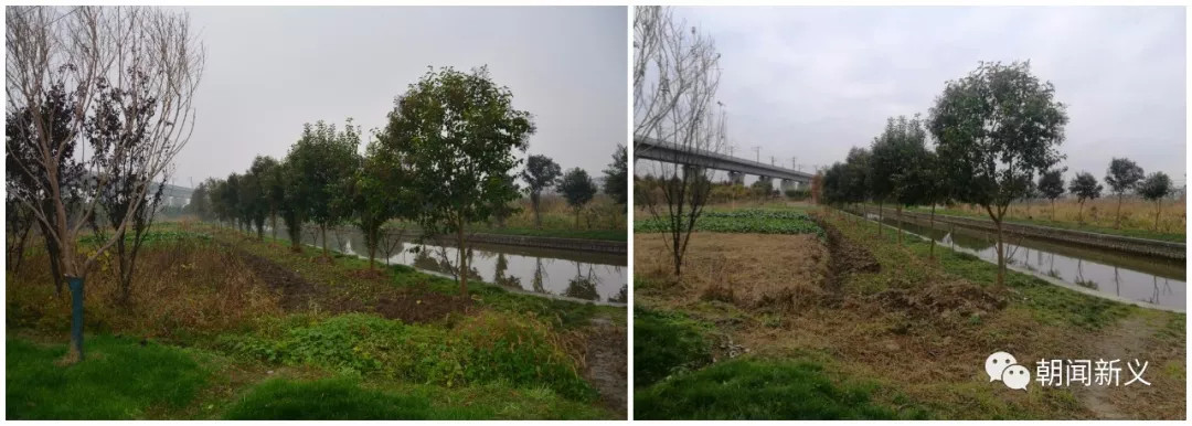 1558342118981339.jpg 蜂蜜浏览器_6.jpg