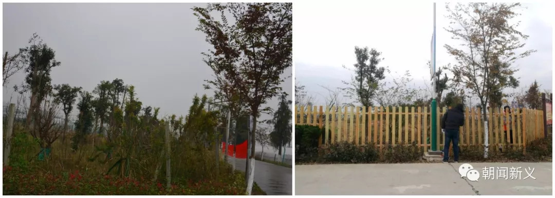 1558342138103457.jpg 蜂蜜浏览器_8.jpg