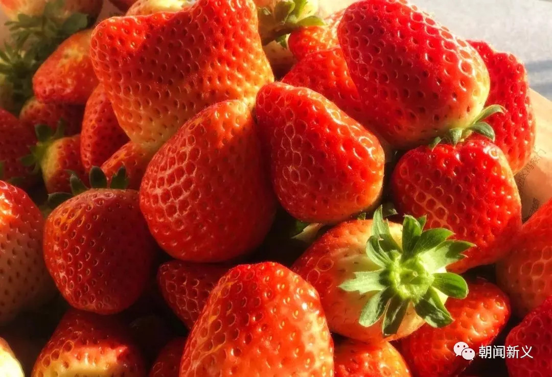 1558342491103276.jpg 蜂蜜浏览器_12.jpg