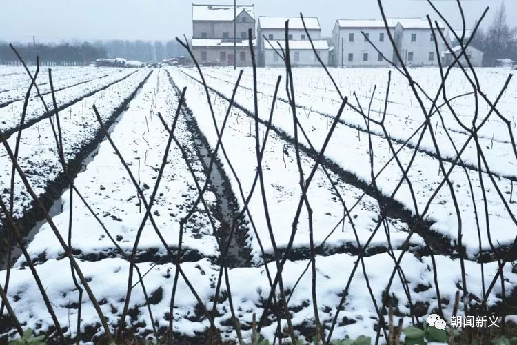 1558343094355829.jpg 蜂蜜浏览器_16.jpg