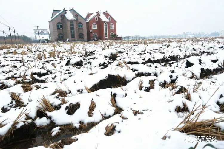 1558343106931379.jpg 蜂蜜浏览器_17.jpg