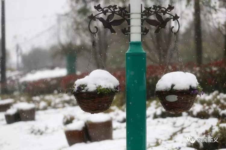 1558343141101425.jpg 蜂蜜浏览器_21.jpg