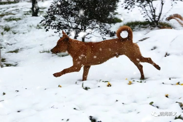 1558343232120359.jpg 蜂蜜浏览器_33.jpg