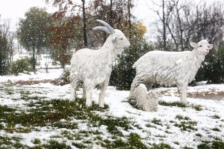 1558343263165543.jpg 蜂蜜浏览器_36.jpg