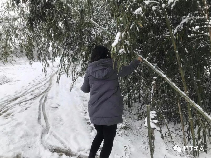 1558343780137202.jpg 蜂蜜浏览器_31.jpg