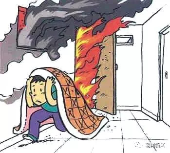 1558407378137955.jpg 蜂蜜浏览器_13.jpg