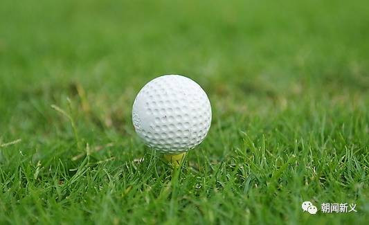 1558410480124792.jpg 蜂蜜浏览器_2.jpg