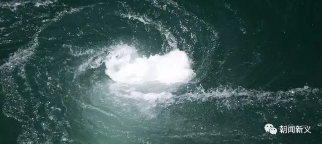 1558418838178151.jpg 蜂蜜浏览器_9.jpg