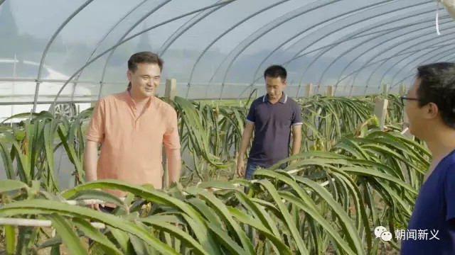 1558419996134534.jpg 蜂蜜浏览器_4.jpg