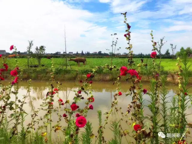 1558420768108117.jpg 蜂蜜浏览器_2.jpg