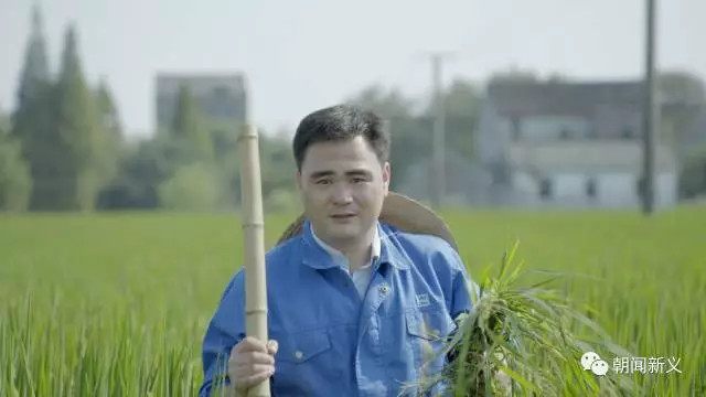 1558420980108960.jpg 蜂蜜浏览器_1.jpg