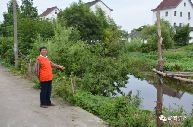 1558421017411943.jpg 蜂蜜浏览器_6.jpg