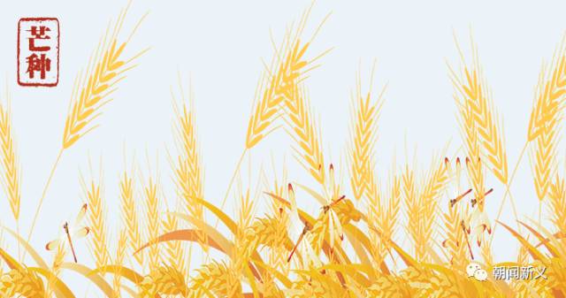 1558422526830513.jpg 1.jpg