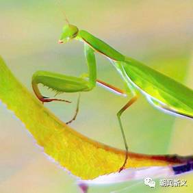 1558422530500115.jpg 2.jpg