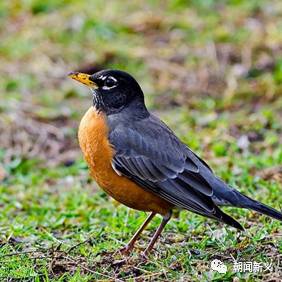 1558422547138252.jpg 4.jpg