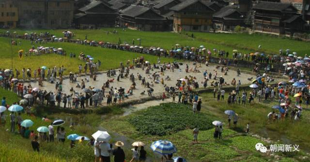 1558422564213050.jpg 6.jpg