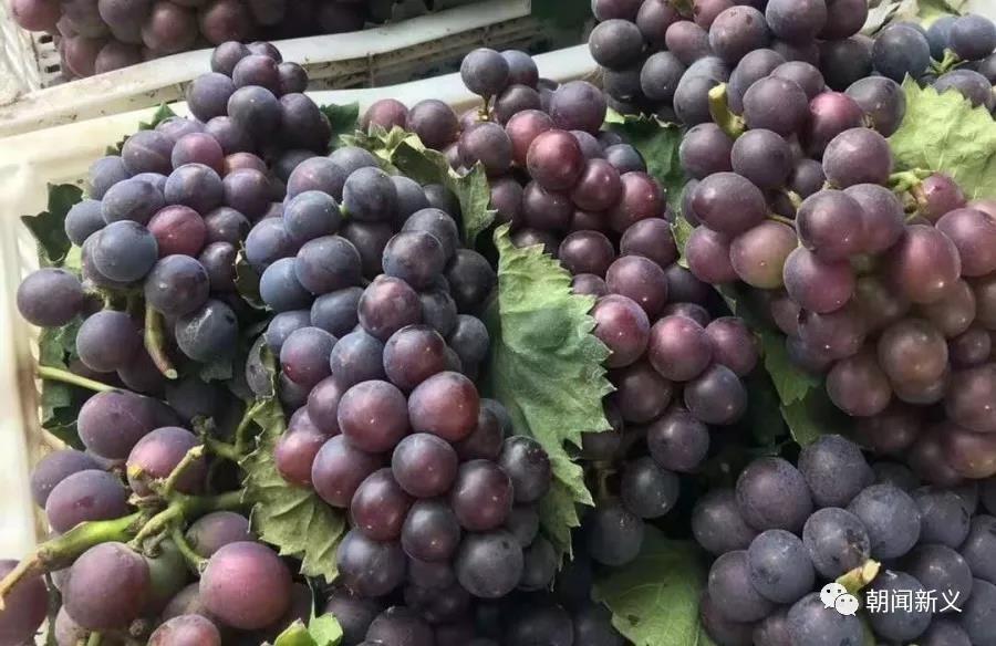 1565246641438106.jpg 8.jpg