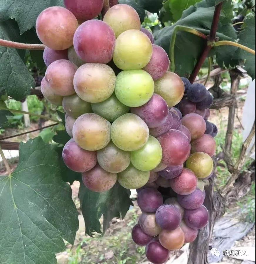 1565246653543706.jpg 9.jpg