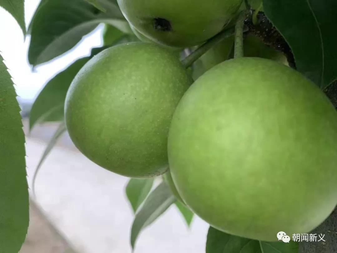 1565246736126009.jpg 16.jpg