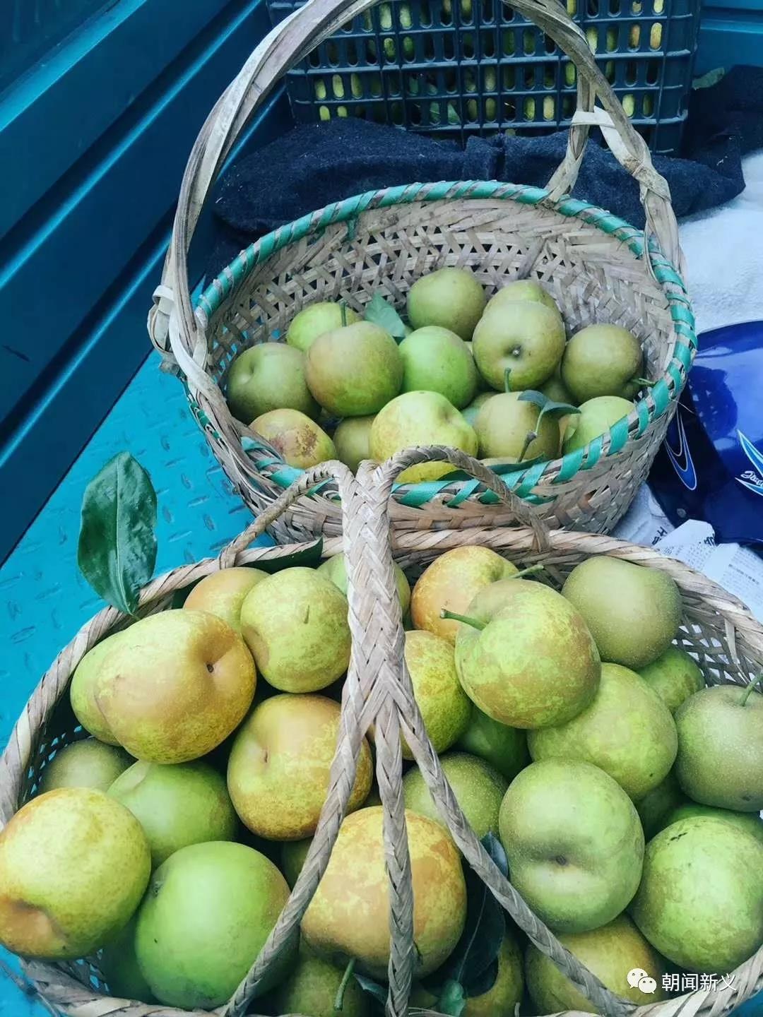 1565246744100604.jpg 17.jpg